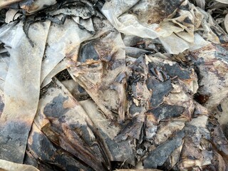 Dirty plastic bag texture after burining