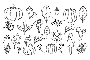Autumn set. Autumn pumpkins, leaves, berries and mushrooms. Doodle style. Collection of autumn plants. Vector illustration.