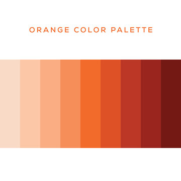 Orange Color Palette" Images – Browse 25 Stock Photos, Vectors, and Video |  Adobe Stock