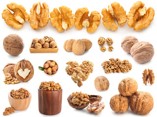 Set of many tasty walnuts isolated on white