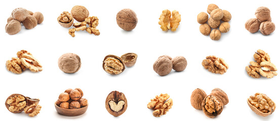 Set of many tasty walnuts isolated on white