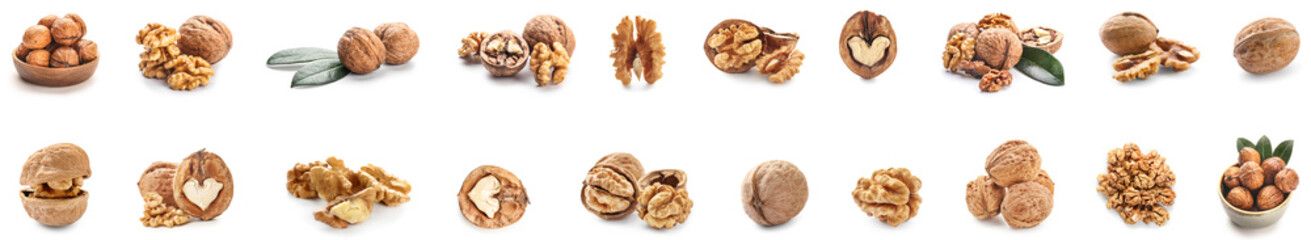 Set of many tasty walnuts isolated on white
