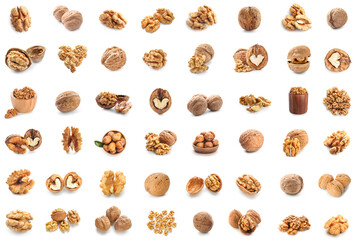 Set of many tasty walnuts isolated on white