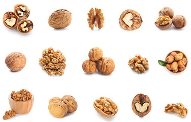 Set of many tasty walnuts isolated on white