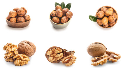 Set of many tasty walnuts isolated on white