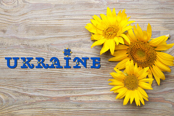 Fresh sunflowers and word UKRAINE on wooden background