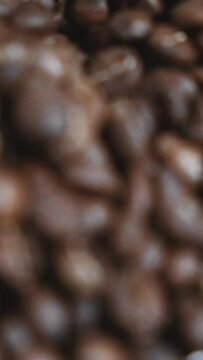 The freshly roasted coffee beans from a large coffee roaster in the cooling cylinder.