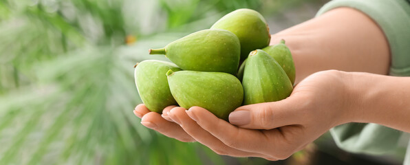 Woman holding fresh green figs, closeup