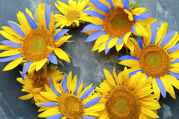 Beautiful sunflowers in colors of Ukrainian flag on grunge background