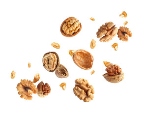 Flying walnuts isolated on white - Powered by Adobe