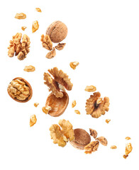 Flying walnuts isolated on white