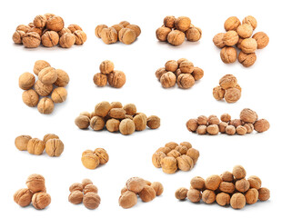 Set of tasty walnuts isolated on white