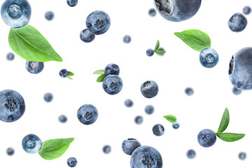 Many falling blueberries on white background © Pixel-Shot