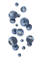 Many falling blueberries on white background