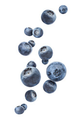 Many flying blueberries on white background