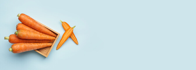 Fresh carrots on light blue background with space for text