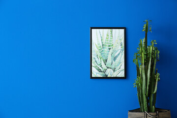 Big cactus in bag and picture on blue wall