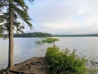 A beautiful morning view of the beautiful calm McLeod lake, surrounded by forest, in Carson-Pegasus...