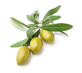 Tasty canned green olives isolated on white