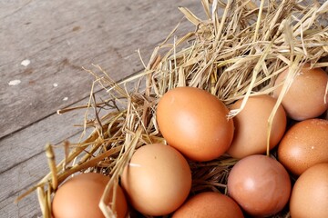 Fresh eggs on dried leaves