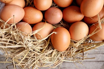 Fresh eggs on dried leaves