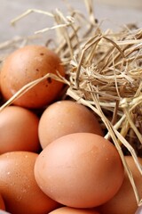 Fresh eggs on dried leaves