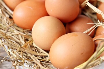 Fresh eggs on dried leaves