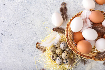 Bowl and nest with different eggs and feathers on light background