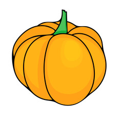 pumpkin isolated on white