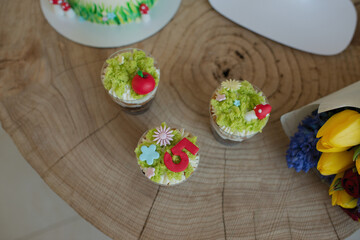 Baking cakes and cupcakes decorated in forest style, grass, mushrooms and a little princess