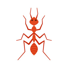 Red ant. Ant vector. Ant on white background.