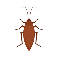 Cockroach vector. Cockroach on white background.