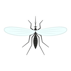 Mosquito vector. mosquito vector on white background.
