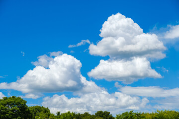 真夏の青空と白い雲　