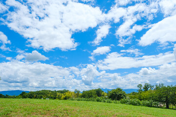 Obraz premium 芝生の公園と雲 