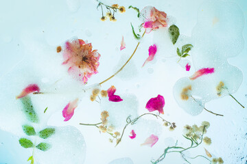 Floral chaos, soap foam, petals, flowers and leaves, gentle header, purity and lightness