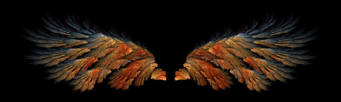 Abstract Fire Bird Wings Illustration