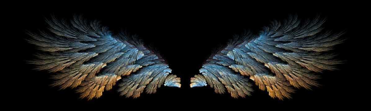 Abstract ice bird wings illustration