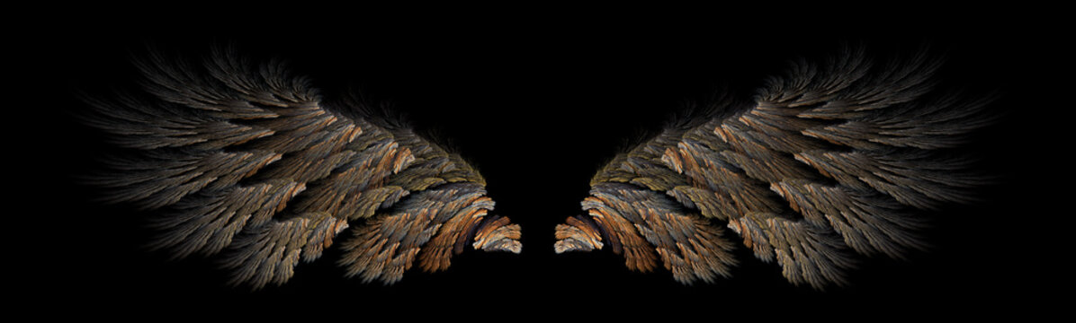Abstract forest bird wings illustration