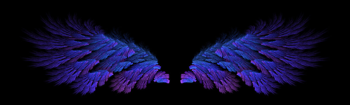 Blue abstract bird wings illustration