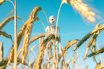 Food crisis