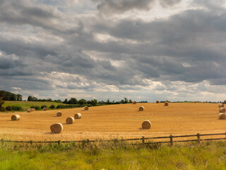 Agriculture field with bale of hay. Farming and agriculture industry. Food supply chain. Stock for winter season and for sale. Dark grey cloudy sky.