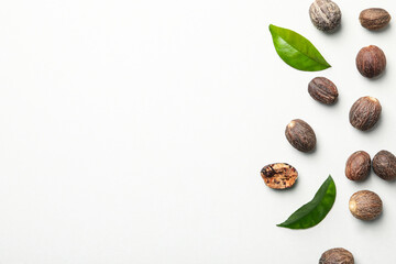 Concept of spices and condiments, nutmegs, space for text