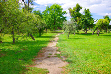 Fototapeta na wymiar Path in spring park among green trees.