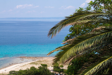 Fototapeta na wymiar Closeup of Palm tree on island with beautiful beach and sea view in background.