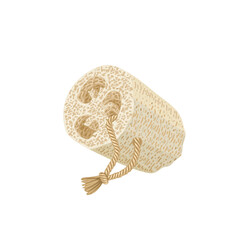 Eco Friendly Loofah Sponge, luffa fruit or Luffa acutangula, isolated on white background, Vector Illustration.