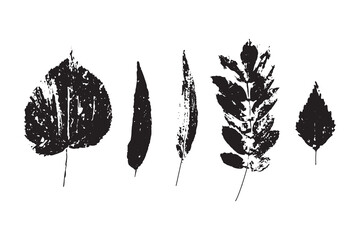 Black leaves imprint in white background. Fall textile leaf silhouette Vector illustration
