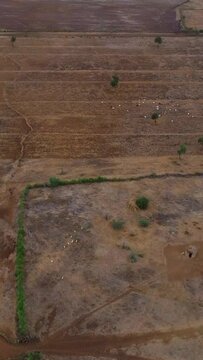 Aerial view of Moshi town