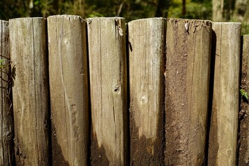 並んだ木の杭　木材の背景