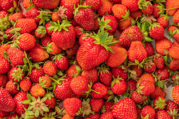 Strawberries background. Fresh strawberry. Food background. Freshly harvested strawberries, top view. Ripe organic sweet strawberry. Summer fruit from top. Tasty vegan snack
